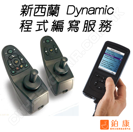 新西蘭Dynamic控制器編寫服務