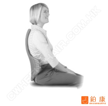 Therapeutica 全方位腰椎頸椎墊